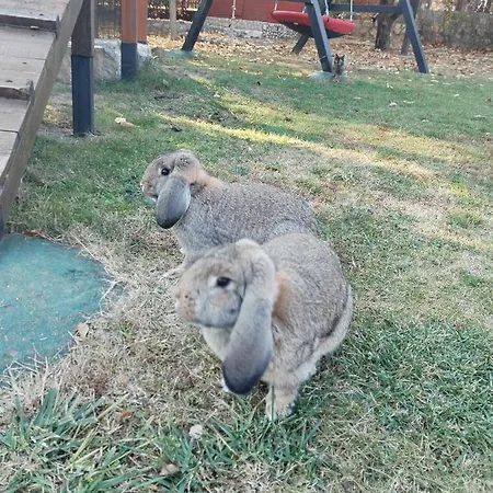 Seosko Turisticko Domacinstvo Imunsan