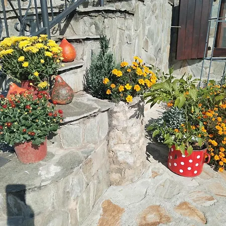 Farm stay Seosko Turisticko Domacinstvo Imunsan Nis