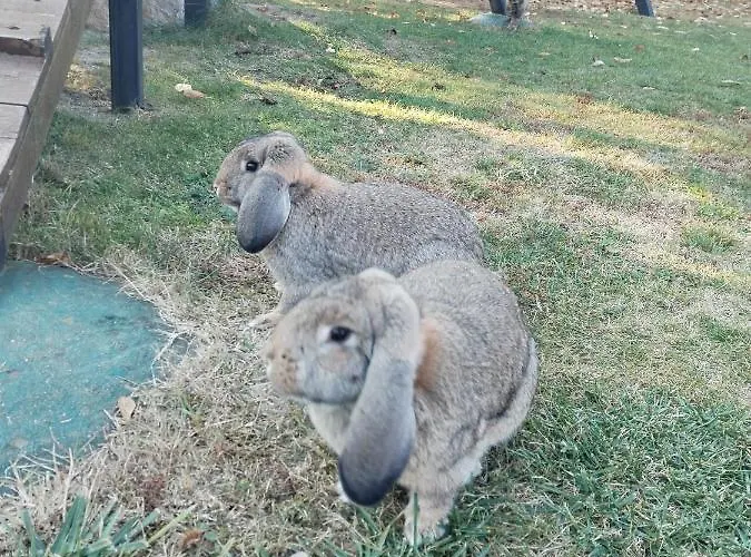 Seosko Turisticko Domacinstvo Imunsan
