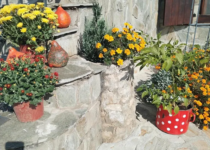 Smještaj na farmi Seosko Turisticko Domacinstvo Imunsan Nis